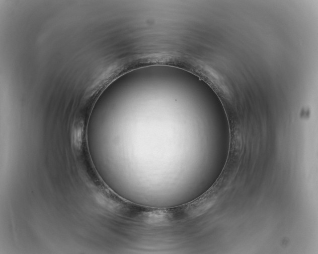 X0000090990118200708091527