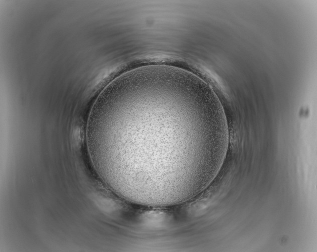 X0000090990119200708091527