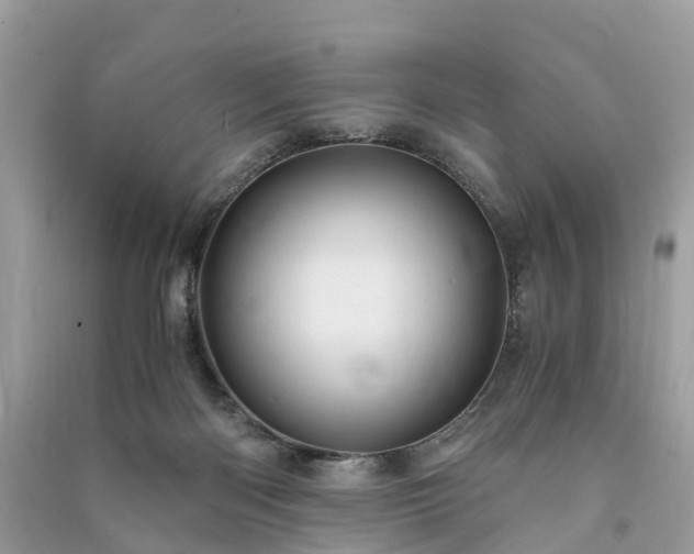 X0000090990122200708091527