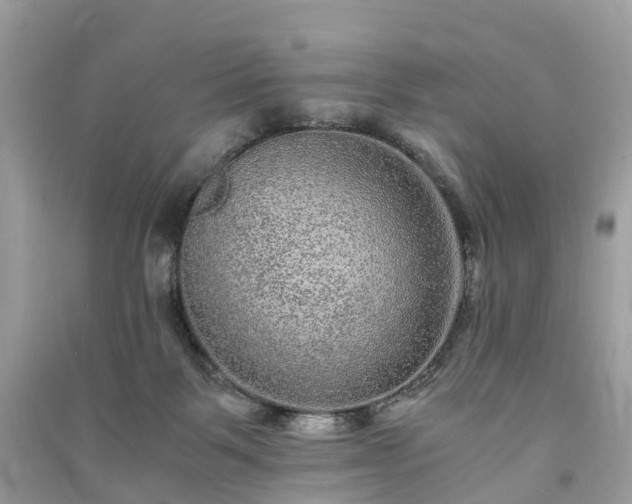 X0000090990123200708091527