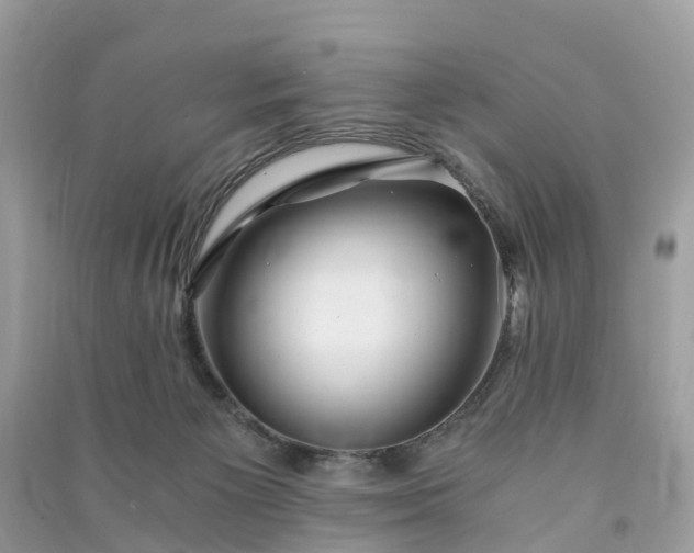 X0000090990125200708091527