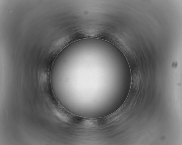 X0000090990126200708091527