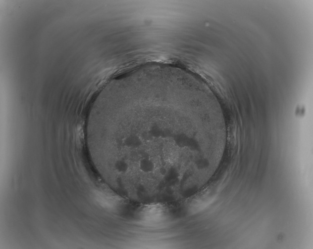 X0000090990127200708091527