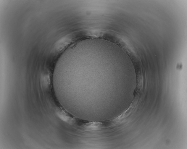 X0000090990128200708091527