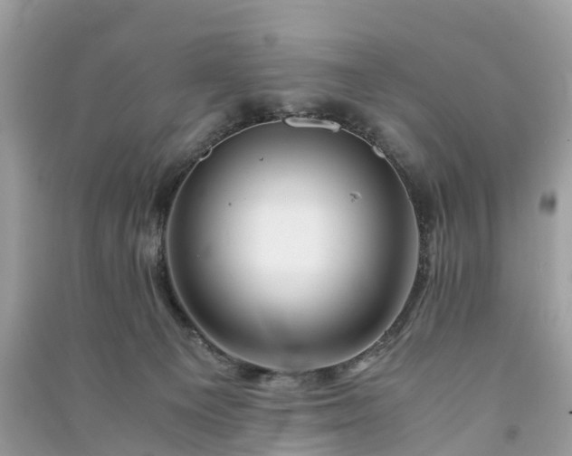 X0000090990129200708091527