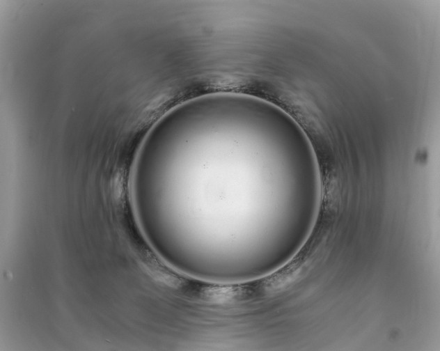 X0000090990131200708091527