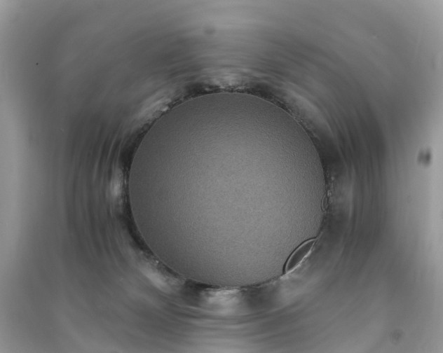 X0000090990132200708091527