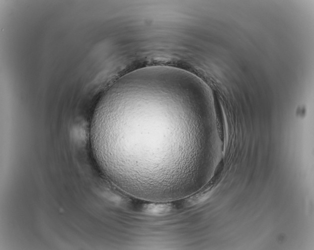 X0000090990135200708091527