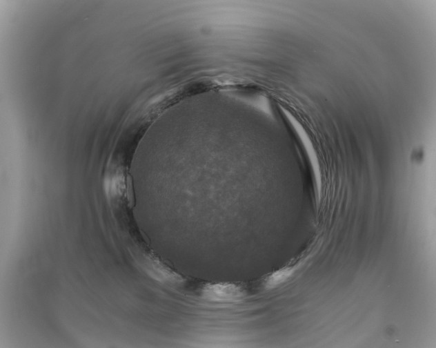 X0000090990137200708091527