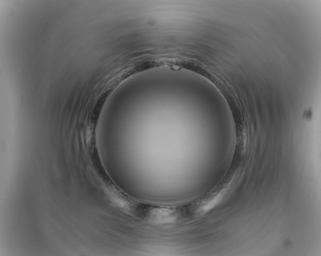 X0000090990139200708091527