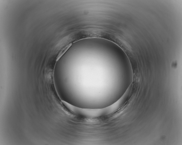 X0000090990141200708091527