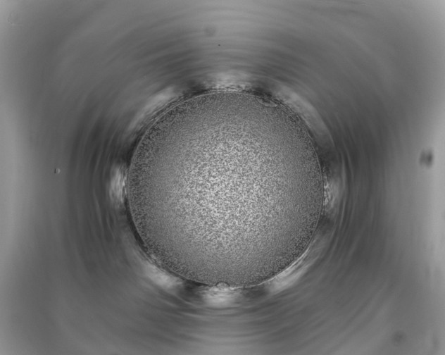 X0000090990142200708091527