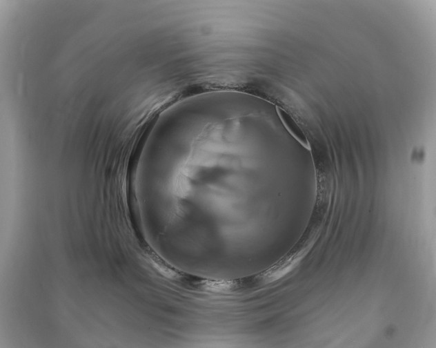 X0000090990143200708091527