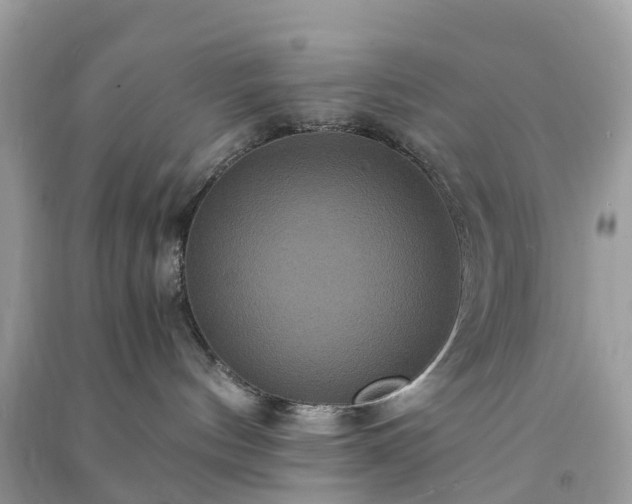 X0000090990144200708091527