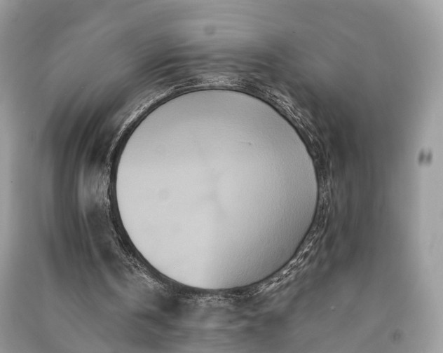 X0000090990146200708091526