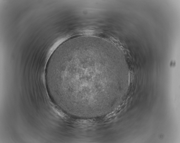 X0000090990147200708091526