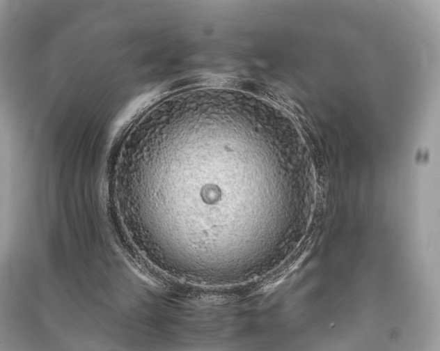 X0000090990149200708091526