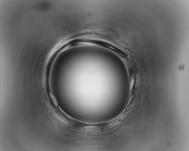 X0000090990150200708091526