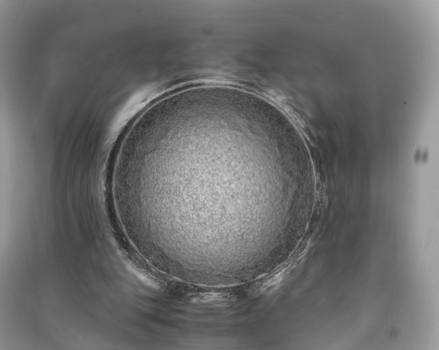 X0000090990151200708091526