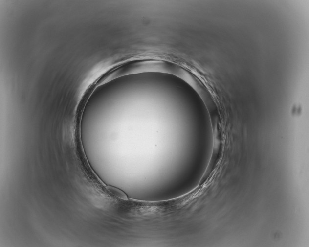 X0000090990152200708091526