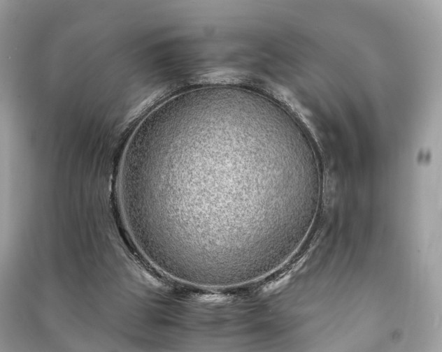 X0000090990153200708091526