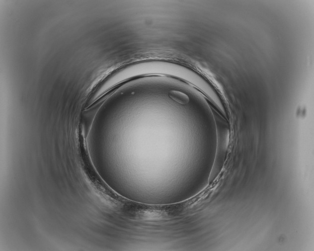 X0000090990154200708091526