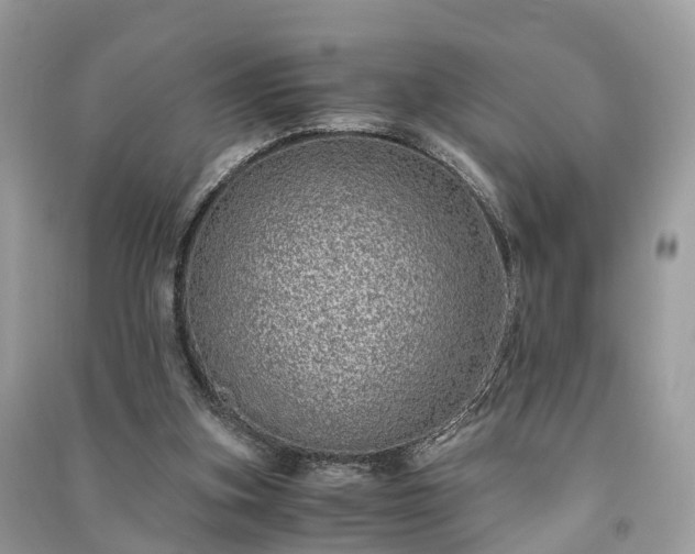 X0000090990155200708091526