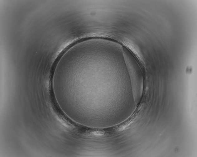 X0000090990156200708091526