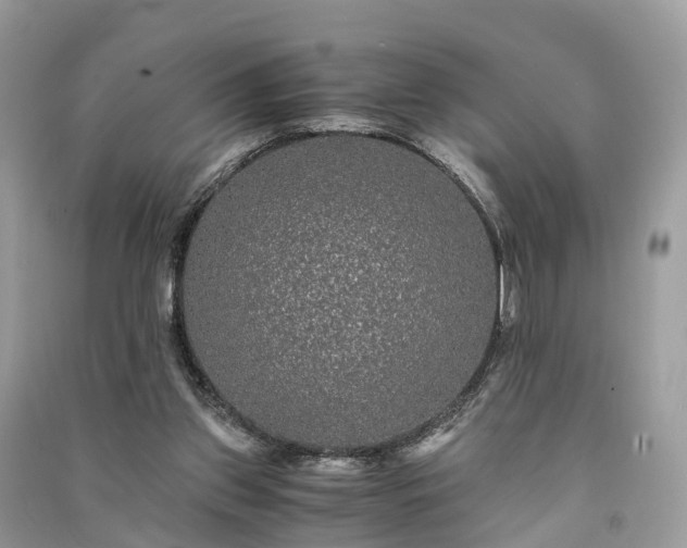 X0000090990157200708091526