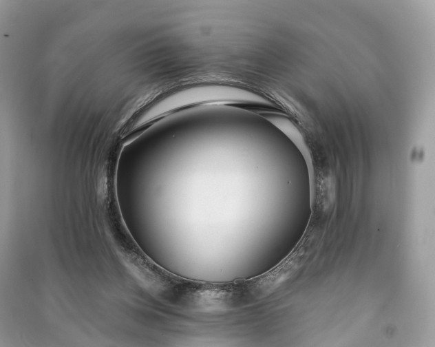 X0000090990158200708091526