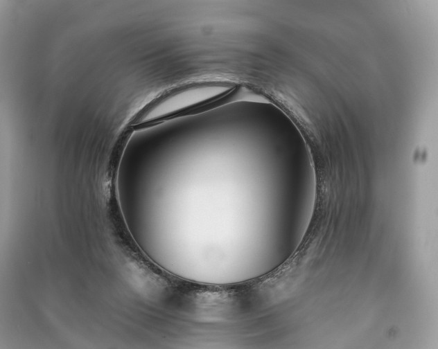 X0000090990160200708091526