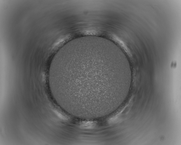 X0000090990161200708091526