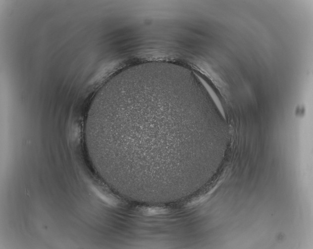 X0000090990165200708091526