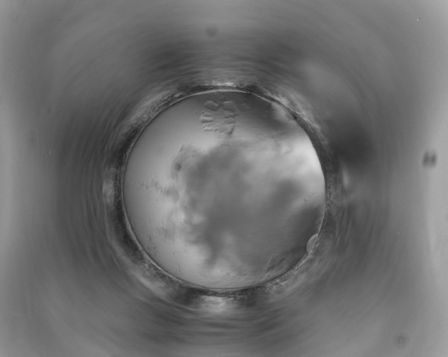 X0000090990167200708091526