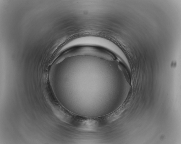 X0000090990168200708091526