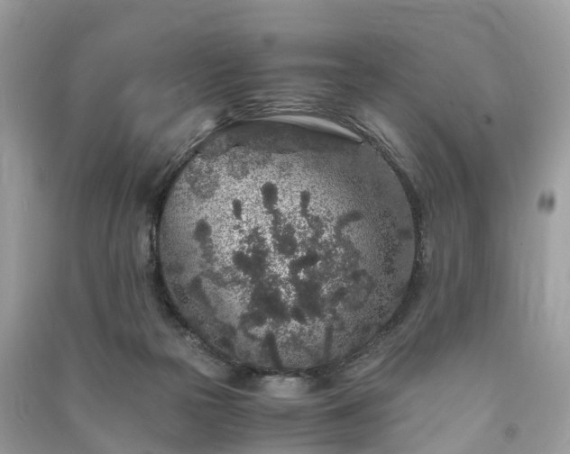 X0000090990169200708091526