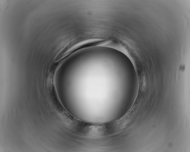 X0000090990172200708091526