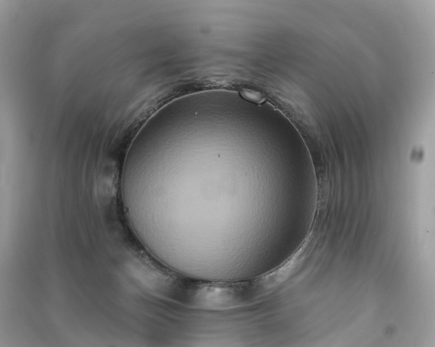 X0000090990174200708091526