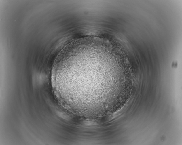 X0000090990175200708091526