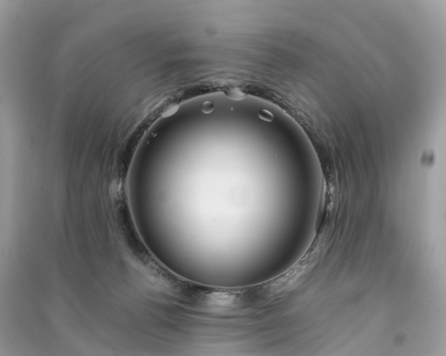 X0000090990176200708091526