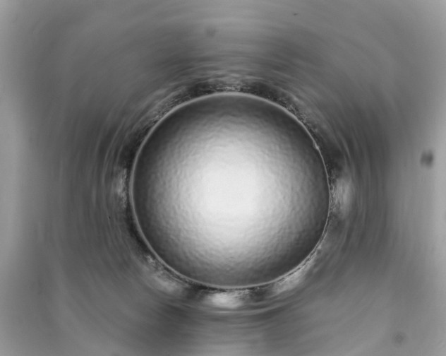 X0000090990178200708091526