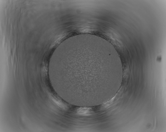 X0000090990179200708091526