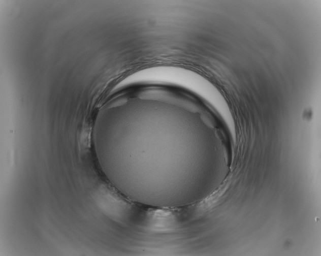 X0000090990180200708091526