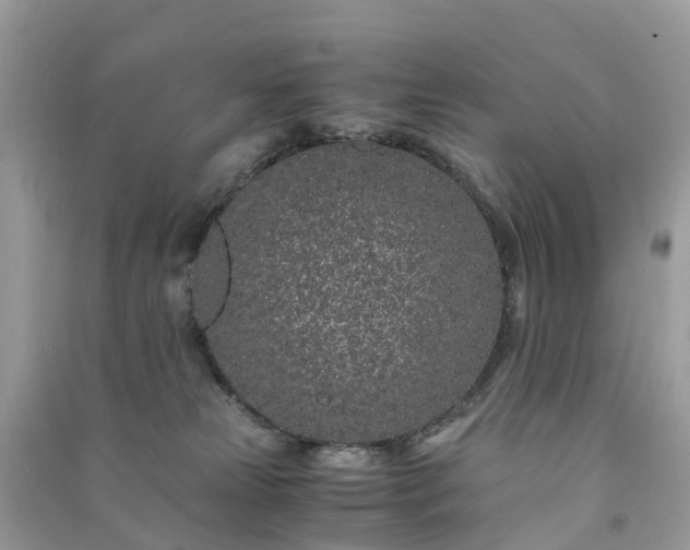 X0000090990181200708091526