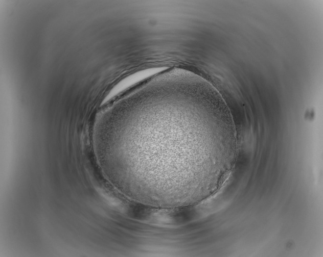 X0000090990182200708091526