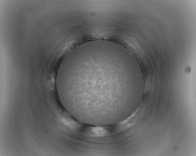 X0000090990183200708091526