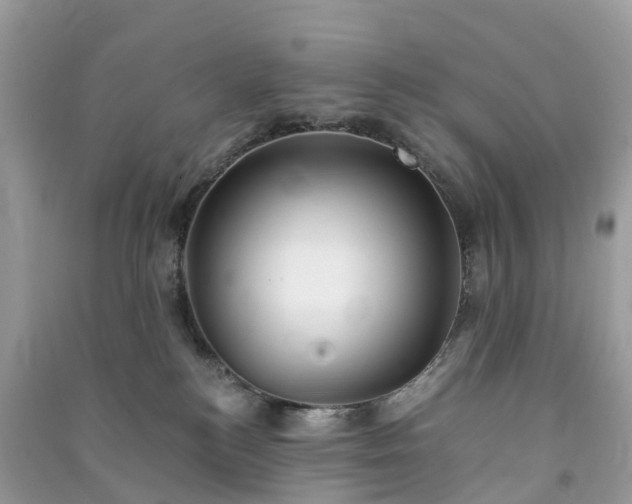 X0000090990184200708091526