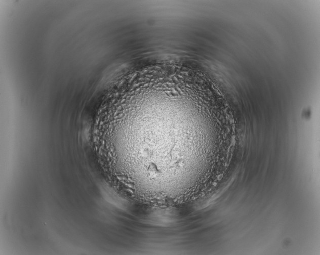 X0000090990185200708091526