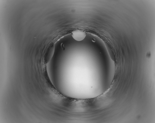 X0000090990186200708091526