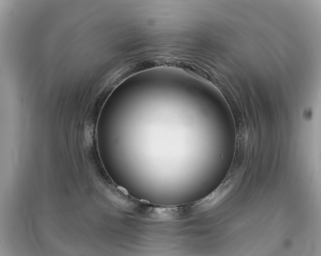 X0000090990188200708091526